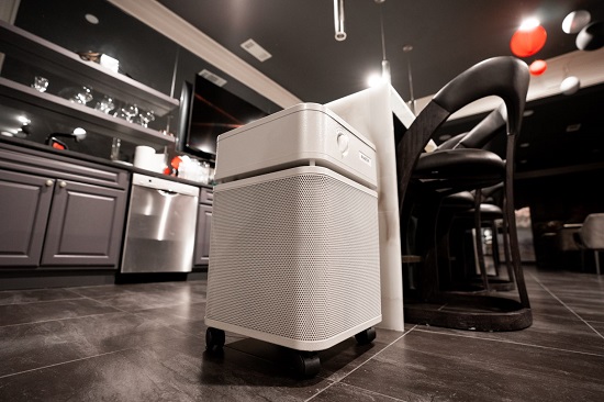 如何解決空氣質量問題？空氣凈化器選購指南